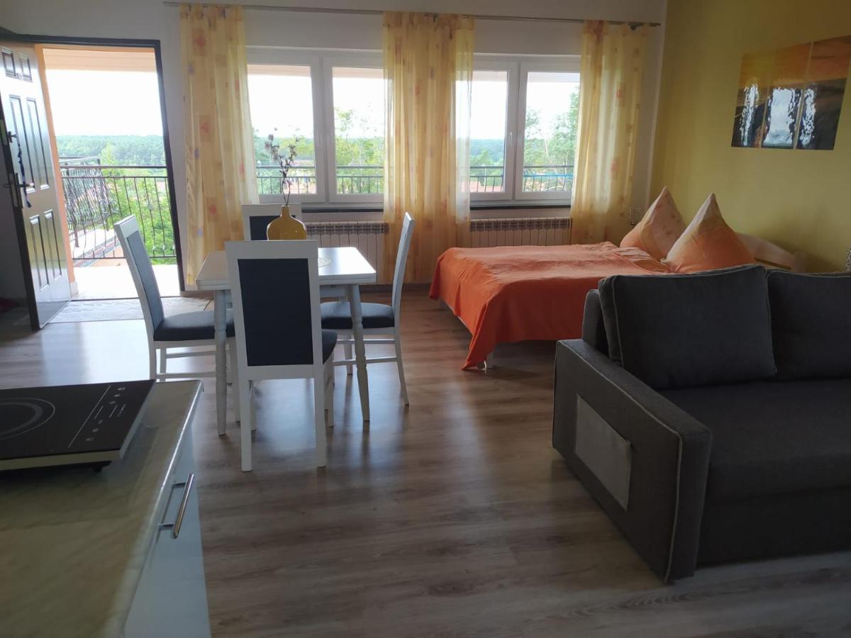 Apartamento Mocik Jastrzębia Góra Exterior foto